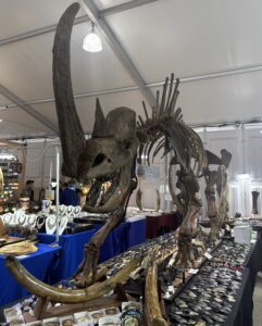 Woolly Rhino skeleton at the Hagar's Fossils and Minerals booth.